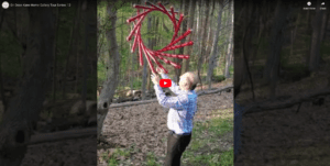 Dr. Dean Kane Home Gallery Tour Series: 12